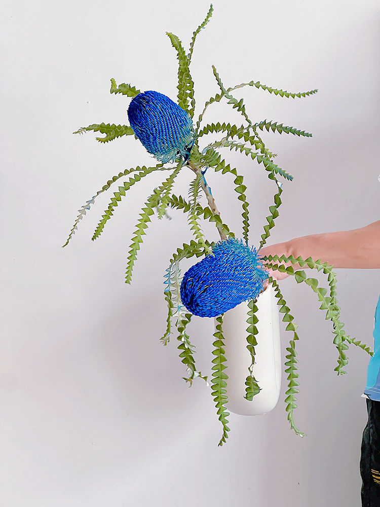 进口鲜花直发班克木可做干花