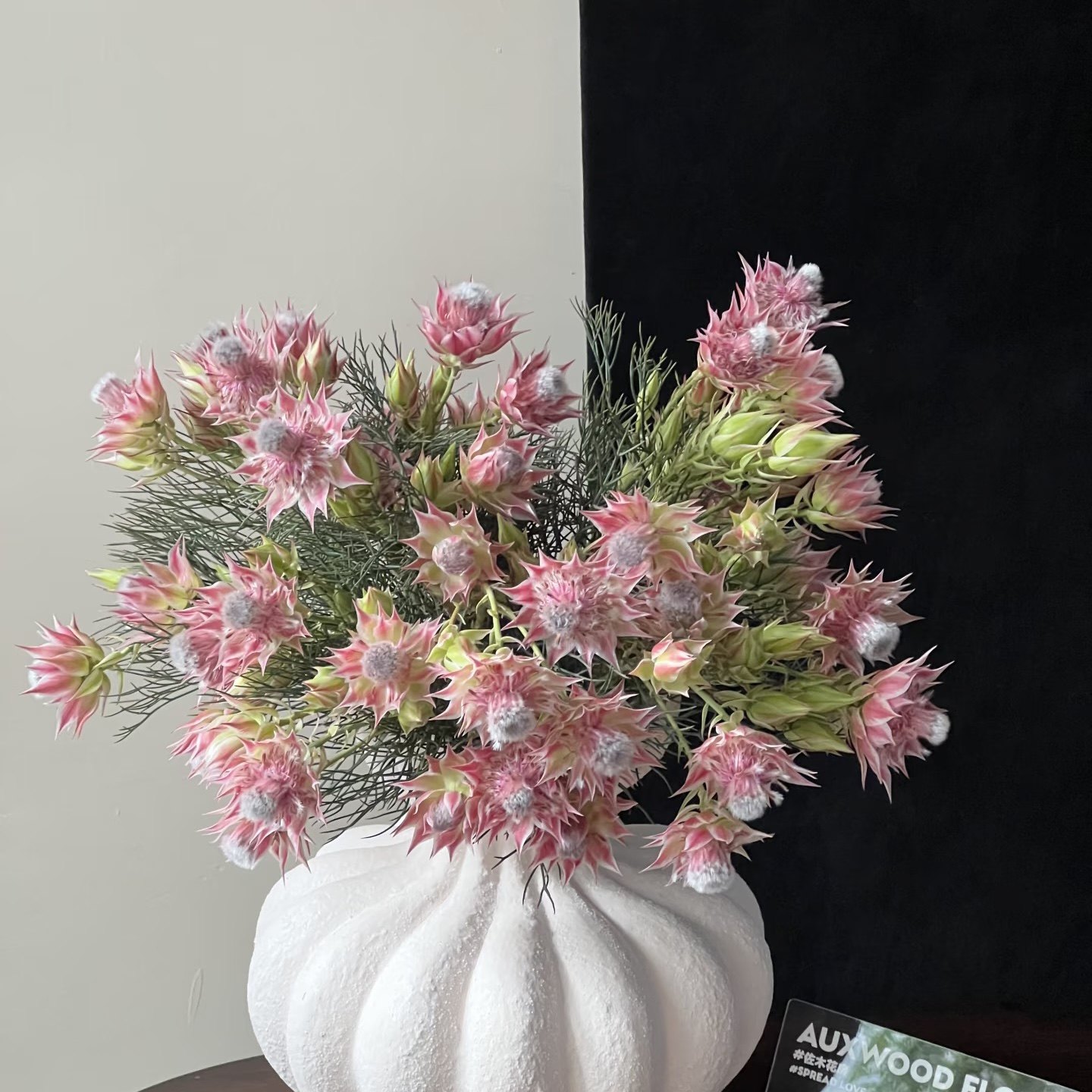 进口粉红色新娘花鲜切花家居插花