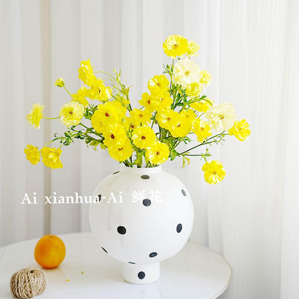 精灵小草花黄色蝴蝶洋牡丹鲜花