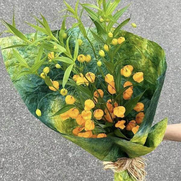 【日本进口】宫灯百合鲜花插花水养室内观赏花婚庆生日礼物送花