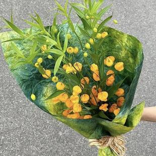 【日本进口】宫灯百合鲜花插花水养室内观赏花婚庆生日礼物送花