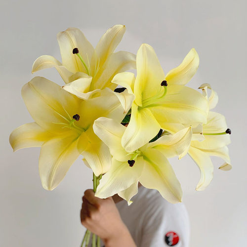 大头黄色香水百合鲜花家用办公