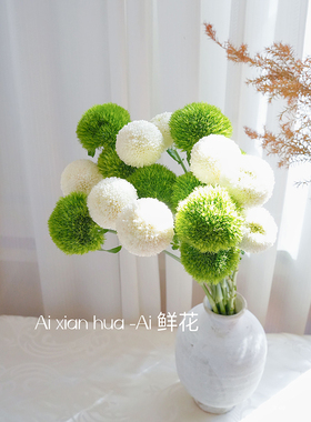 清爽治愈系绿色绿毛球鲜花白色乒乓菊混搭插花绿石竹鲜切云南直发