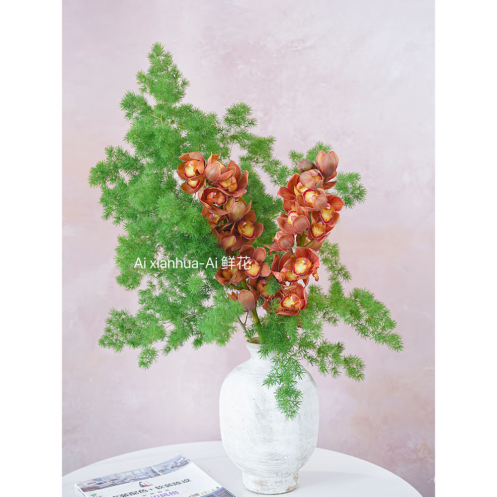 进口高级复古咖菊色大花惠兰鲜花