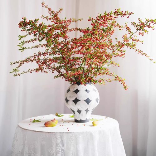 让家瞬间生动起来红色火棘果鲜切