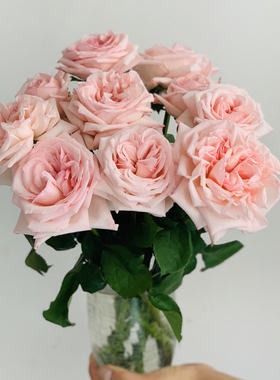 云南荔枝玫瑰鲜花白色粉色玫瑰 香味浓郁家庭插花鲜花速递3把包邮