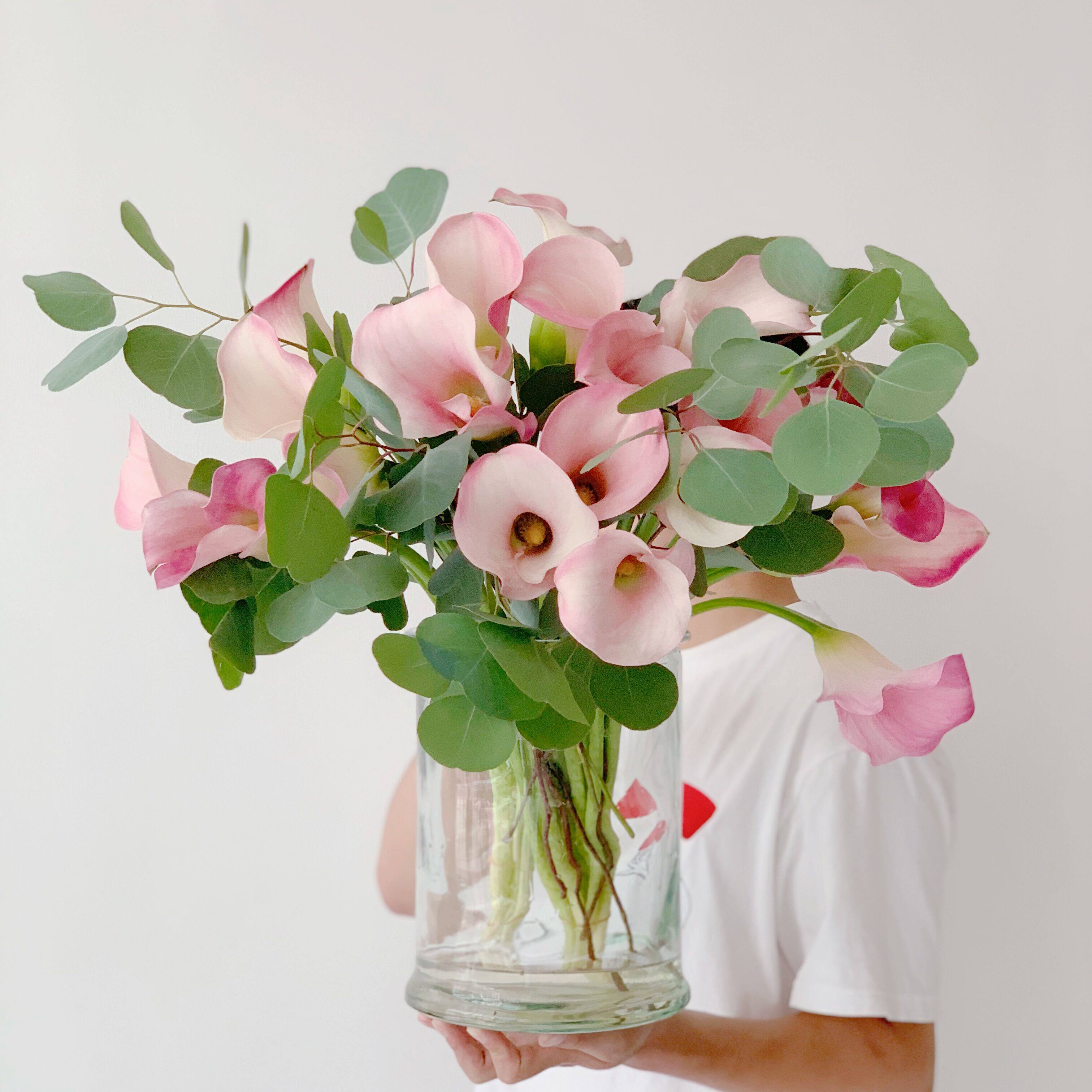 进口高端限量浅粉色马蹄莲