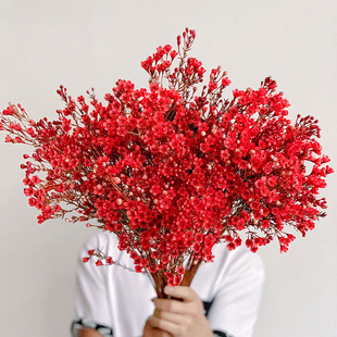 喜庆氛围感红色腊梅鲜花插花水养云南直发年宵花耐养花期长送花