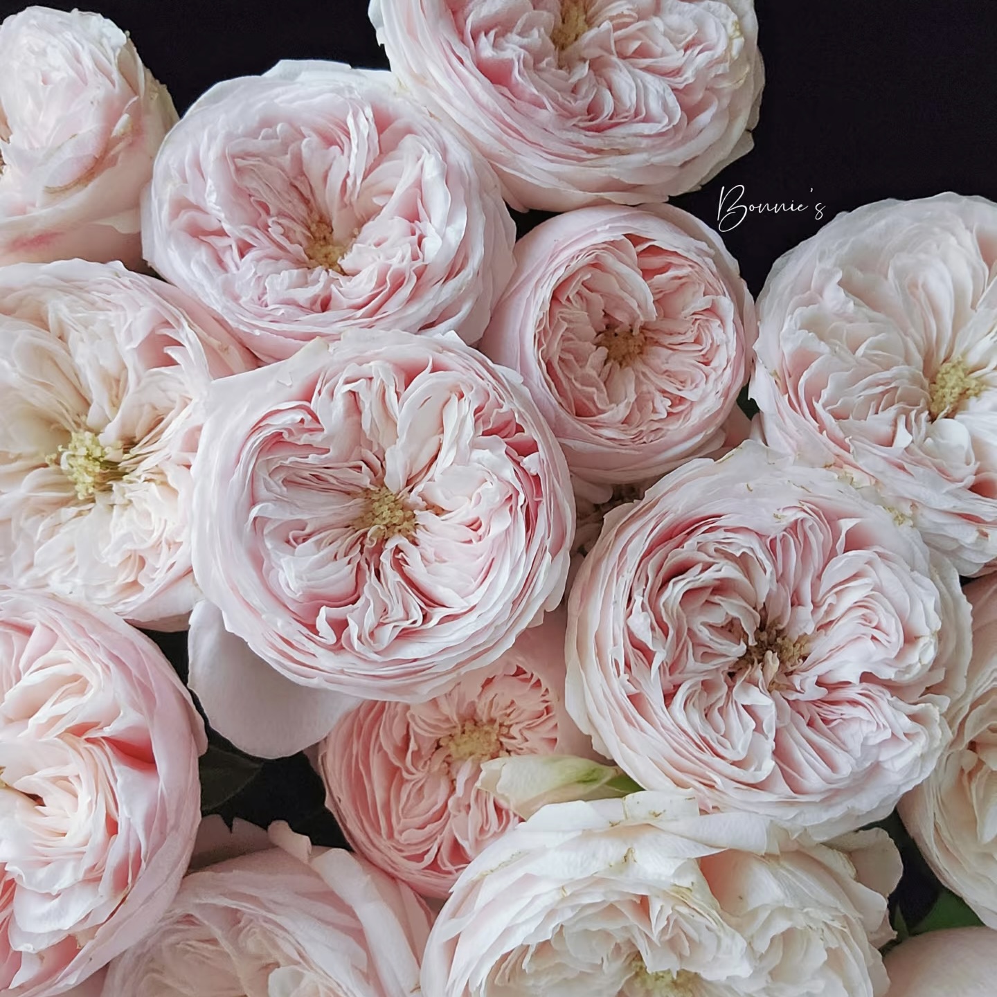 粉色系酷皮玫瑰鲜花绝美包子花型