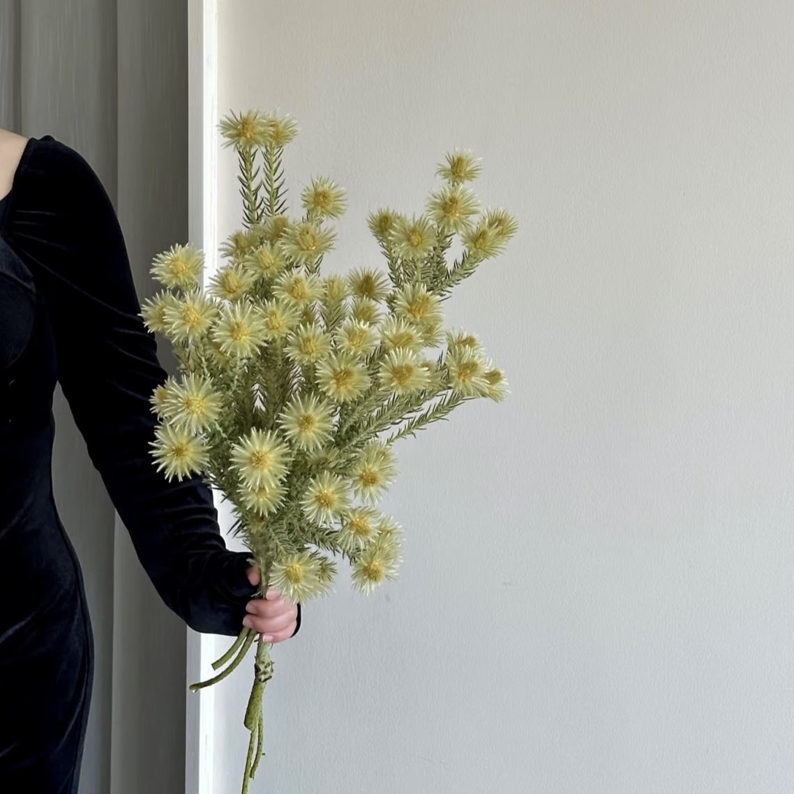 自带慵懒感的花材进口天鹅绒鲜花