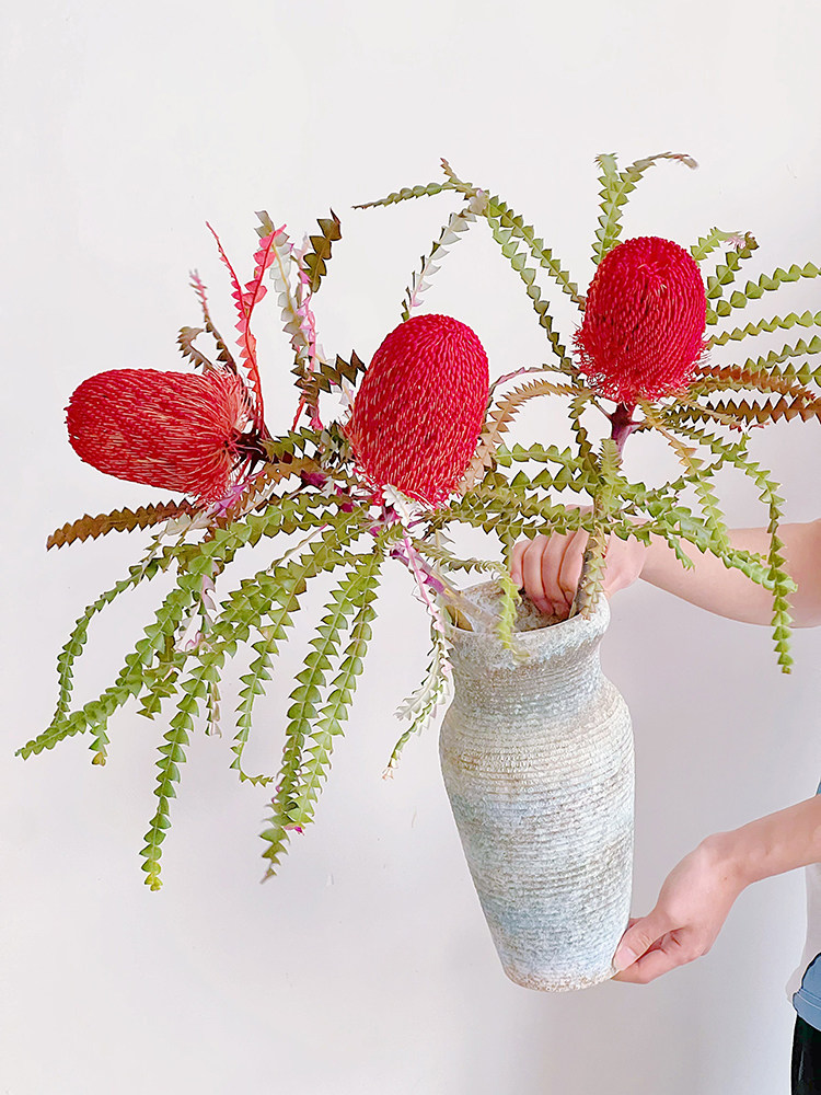 满满高级感高质进口红色班克木鲜花云南昆明直发花期长可做干花,鲜花速递/花卉仿真/绿植园艺,花材,淘宝优惠券,粉丝福利购,淘宝优惠卷