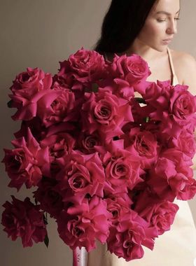 爆美兰蔻御用Pink Floyd弗洛伊德玫瑰鲜花云南直发佛洛依德插花