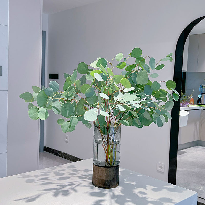 ins风苹果叶尤加利鲜花花艺花束插花高级配花百搭花期长云南直发,鲜花速递/花卉仿真/绿植园艺,花材,淘宝优惠券,粉丝福利购,淘宝优惠卷