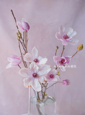 脱骨之美高洁小众粉紫色玉兰花鲜花插花水养云南直发花期长顺丰