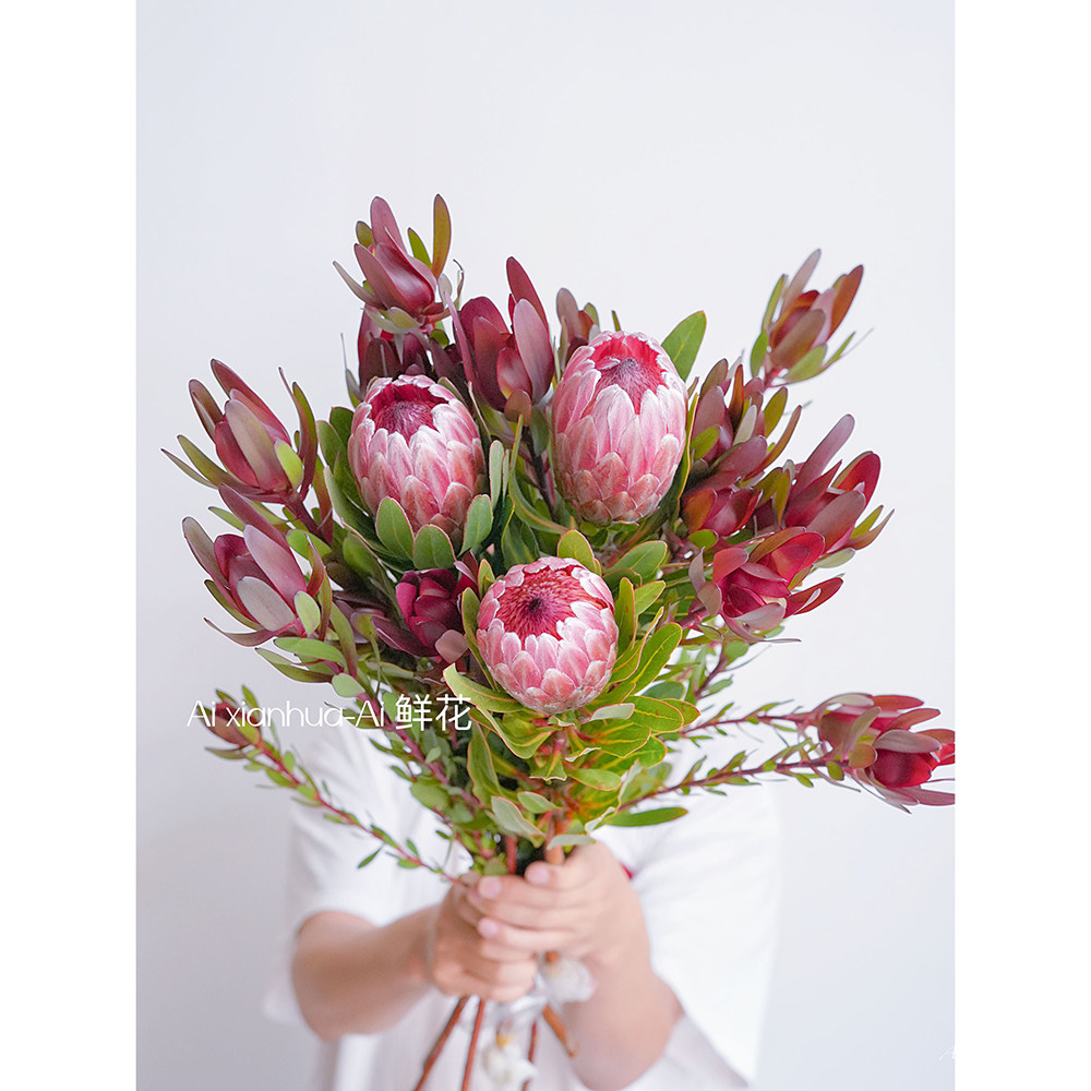 公主花鲜花木百合花期长可做干花