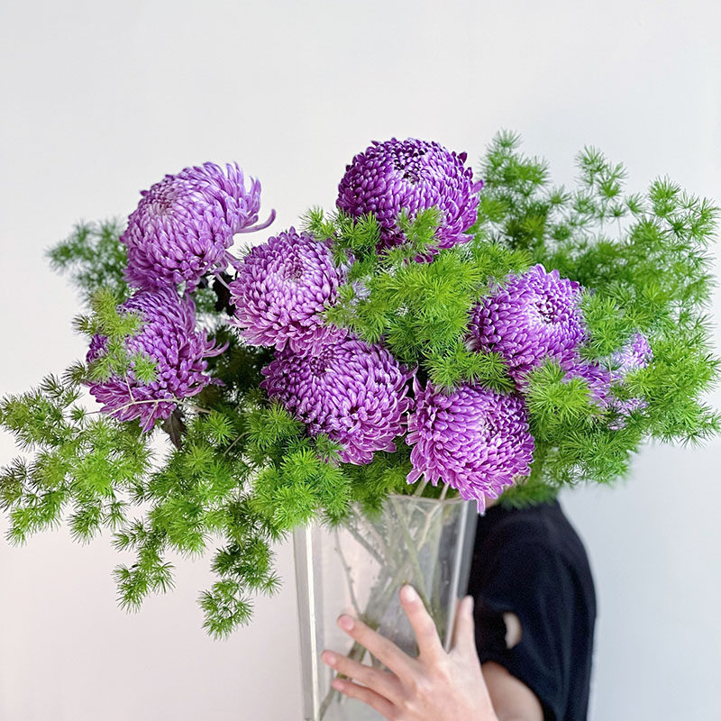 颜色质感绝美水养顺丰包邮