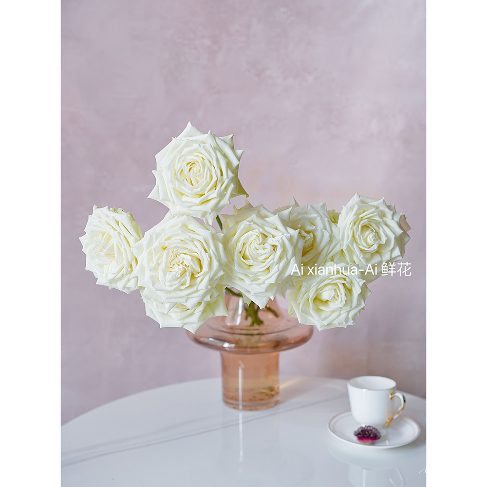 目前花瓣层次超多的玫瑰白玫瑰