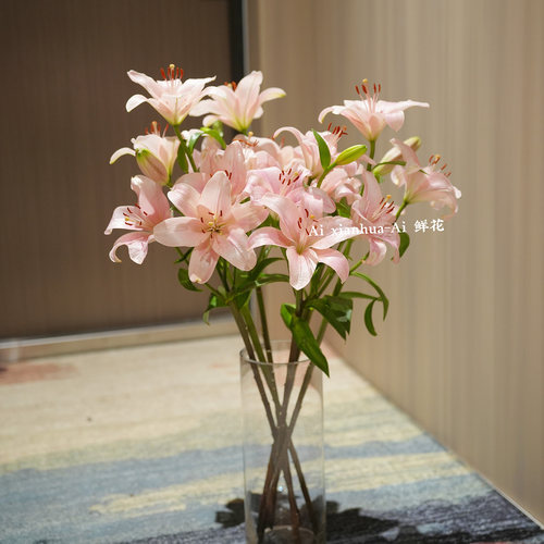 仙气满满仙女粉亚百合鲜花家居插花水养节日送花百搭空运直发花期
