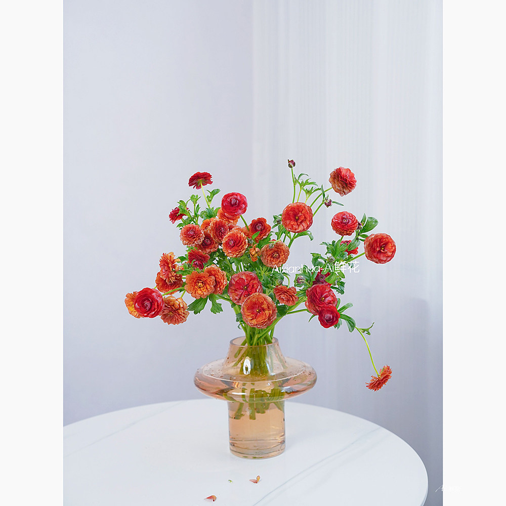 体验丑小鸭变白天鹅蝴蝶洋牡丹