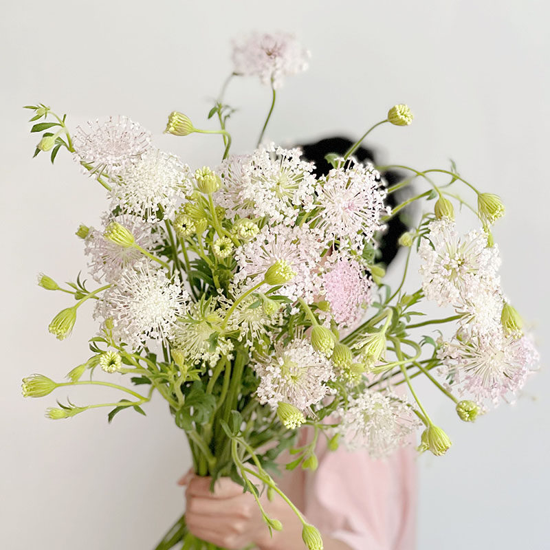 飞舞的蝴蝶精灵浪漫的田园气息
