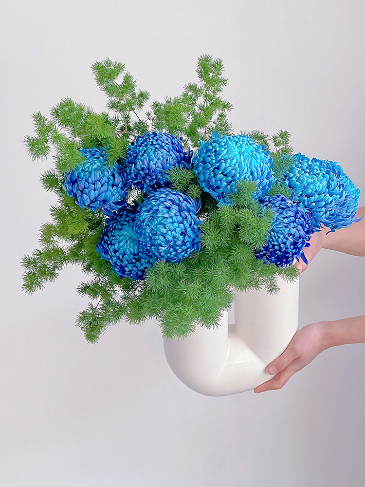 进口雨墨色牡丹菊鲜花云南昆明斗南直发插花水养耐养花期长顺丰