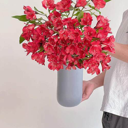 进口高品质橙色水仙百合鲜花插花