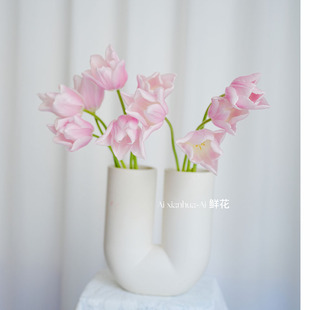 超级仙气高级香奈儿郁金香鲜花女神节送花百搭空运直发插花水养