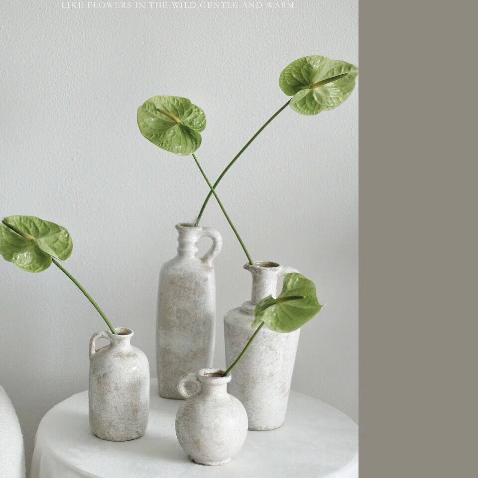 进口绿掌鲜切花插花水养鲜花花期长节日送花云南斗南直发顺丰送花