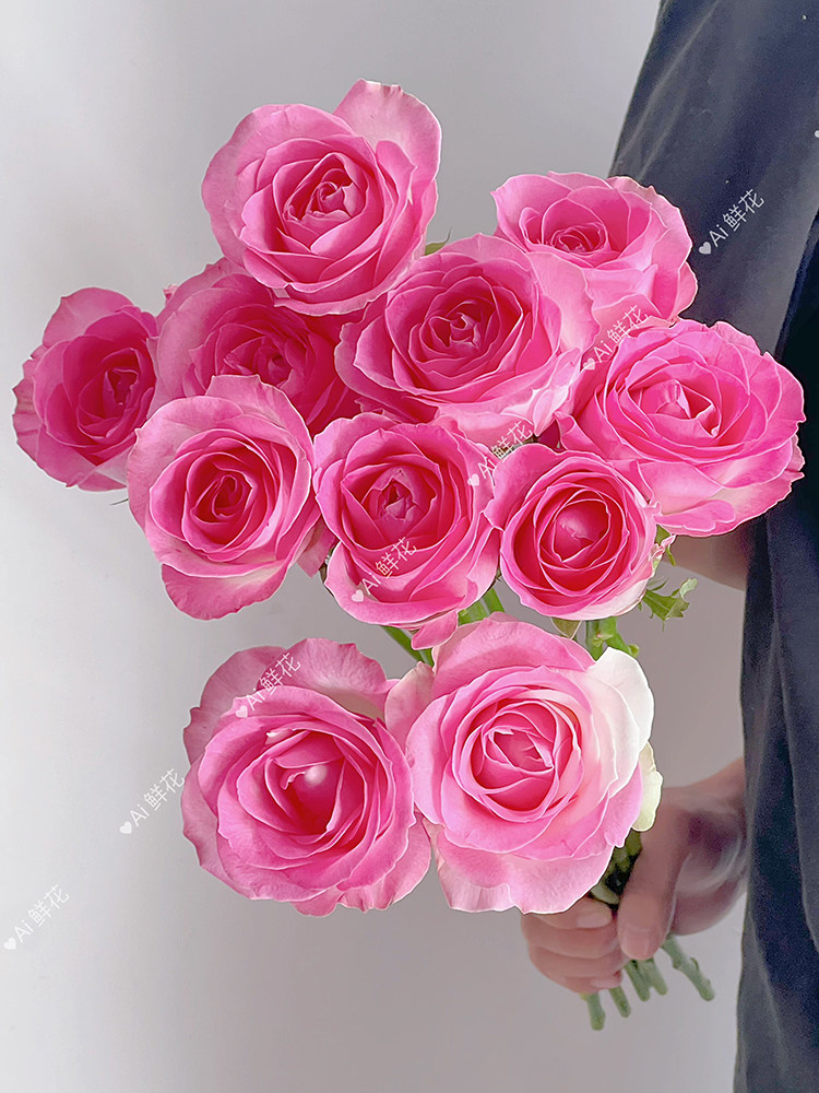 好养好开艳丽桃红色糖果玫瑰鲜花云南直发家用办公插花水养顺丰,鲜花速递/花卉仿真/绿植园艺,花材,淘宝优惠券,粉丝福利购,淘宝优惠卷