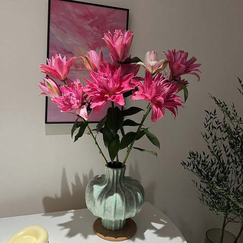 高级纯正玫红色红莲重瓣百合鲜花