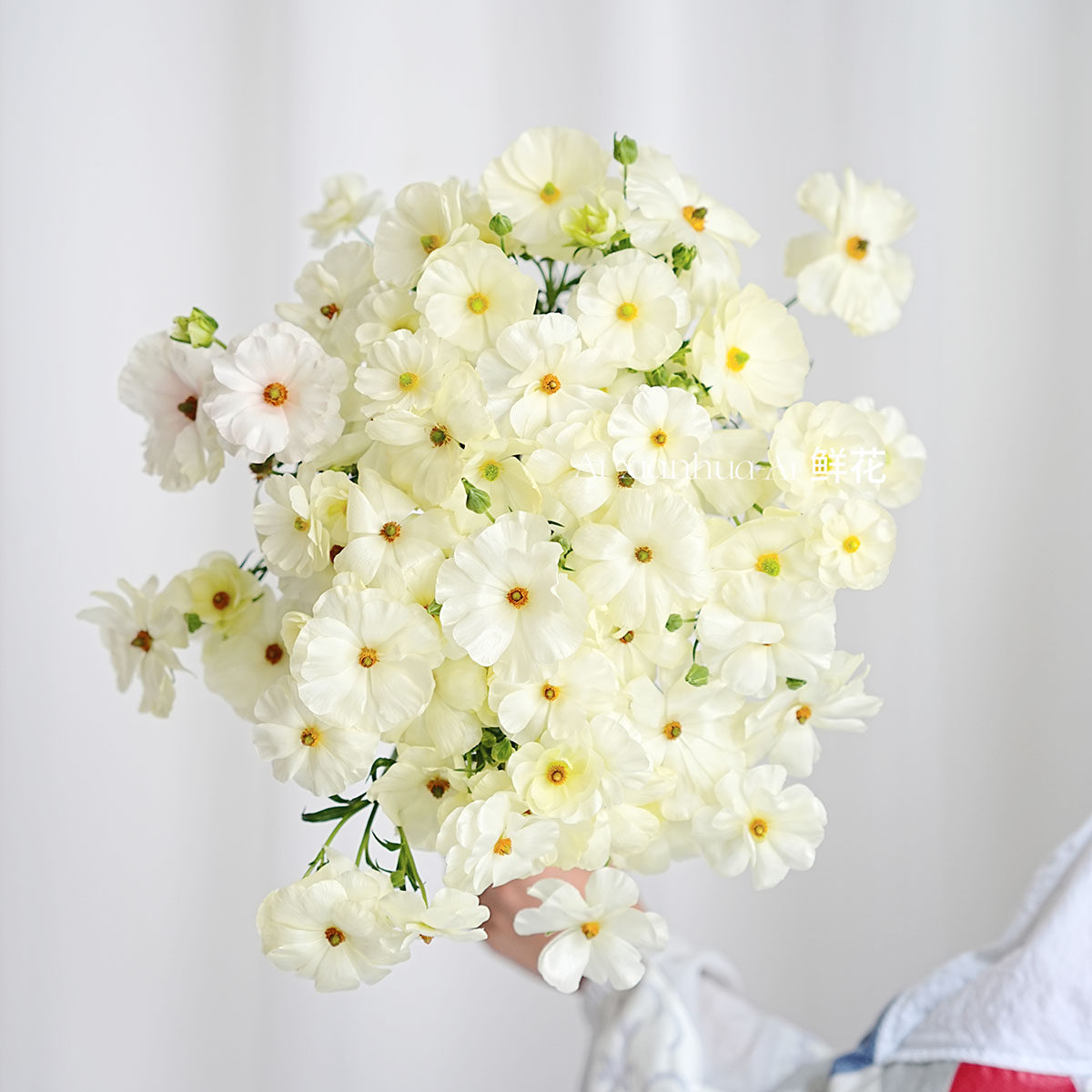 奶黄白蝴蝶洋牡丹鲜花家居插花