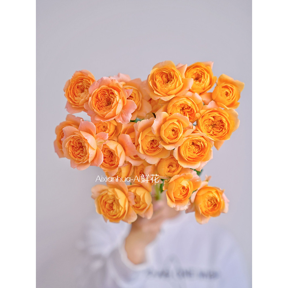 唯美高级奥斯汀花园玫瑰花型插花