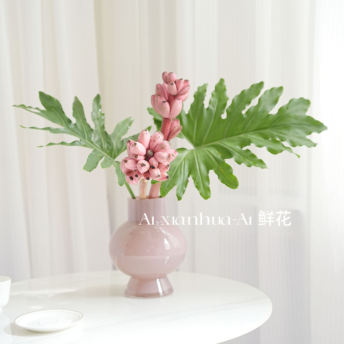 野趣小众观赏迷你粉色梦幻蕉鲜枝