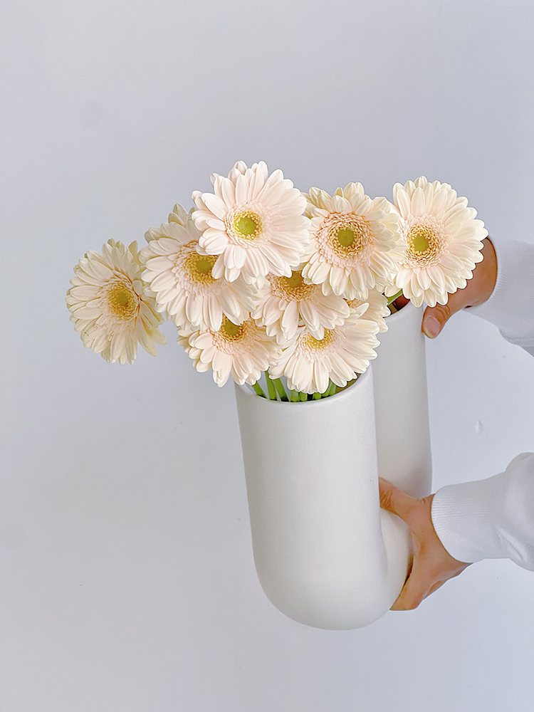 稀有小众仙气色系圣托里尼扶郎花