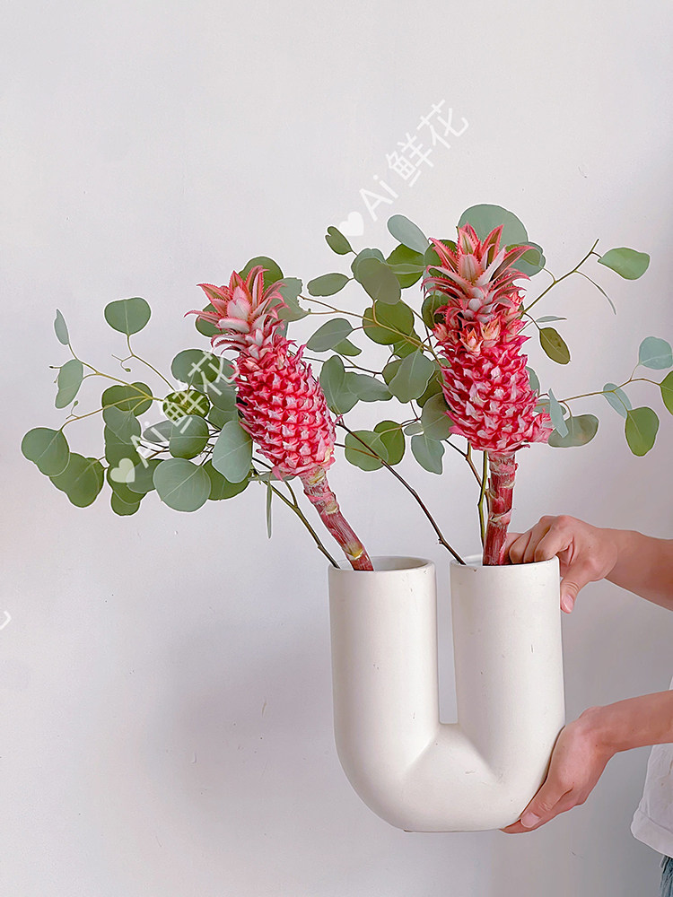 进口高级招财粉色小菠萝鲜花云南直发插花水养耐养花期长顺丰