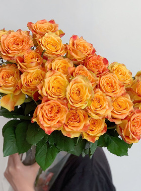 品牌渐变橙色玫瑰鲜花云南直发办公家用插花节日礼品鲜花2束顺丰