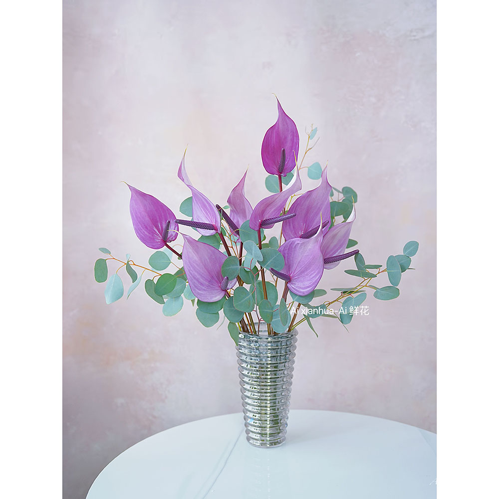 进口薰衣草紫色掌鲜花清爽插花水