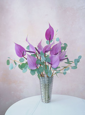 进口薰衣草紫色掌鲜花清爽插花水养普利维亚掌花期长节日送花顺丰