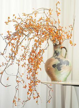 爱马仕橙色线条感中式高级插花南蛇藤鲜切枝家用装饰百搭提升家居
