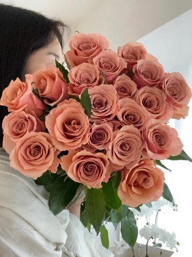 复古杏粉色莫泊玫瑰鲜花好养好开