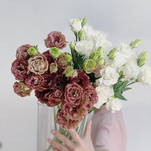 高级复古茶色白色洋桔梗组合鲜花节日送人水养插花昆明顺丰空运