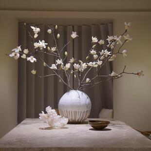 新鲜白色玉兰花鲜花香味好闻高洁小众水养真花家居插花云南昆明发