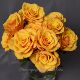 肯尼亚进口新品 玫瑰大亨玫瑰黄色金色玫瑰鲜花送同礼物怒放型玫瑰