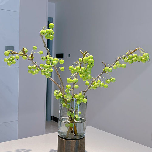 北欧简约家居插花水养装饰摆件