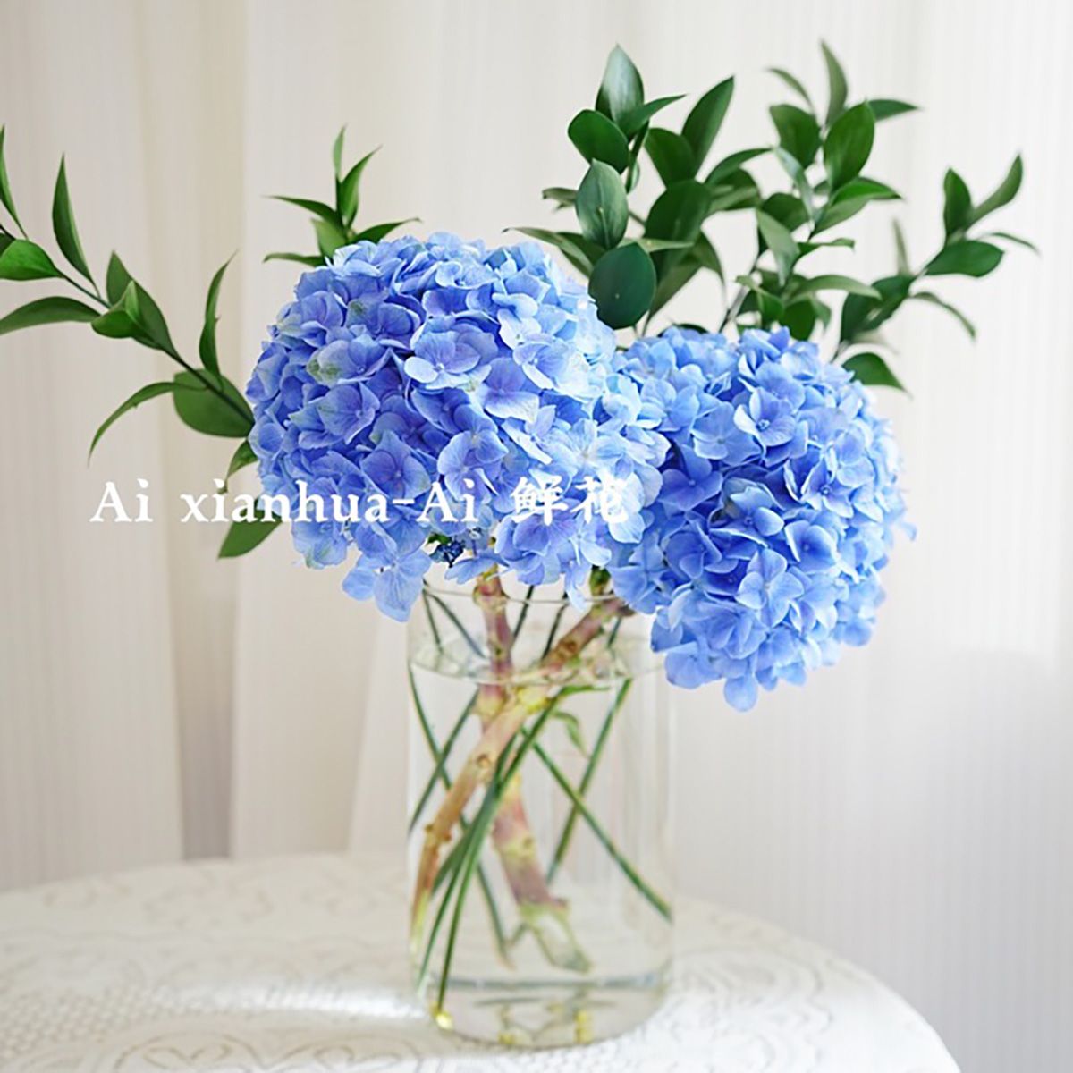 小众淡雅宝蓝色绣球鲜花家居插花水养节日送花百搭空运云南直发