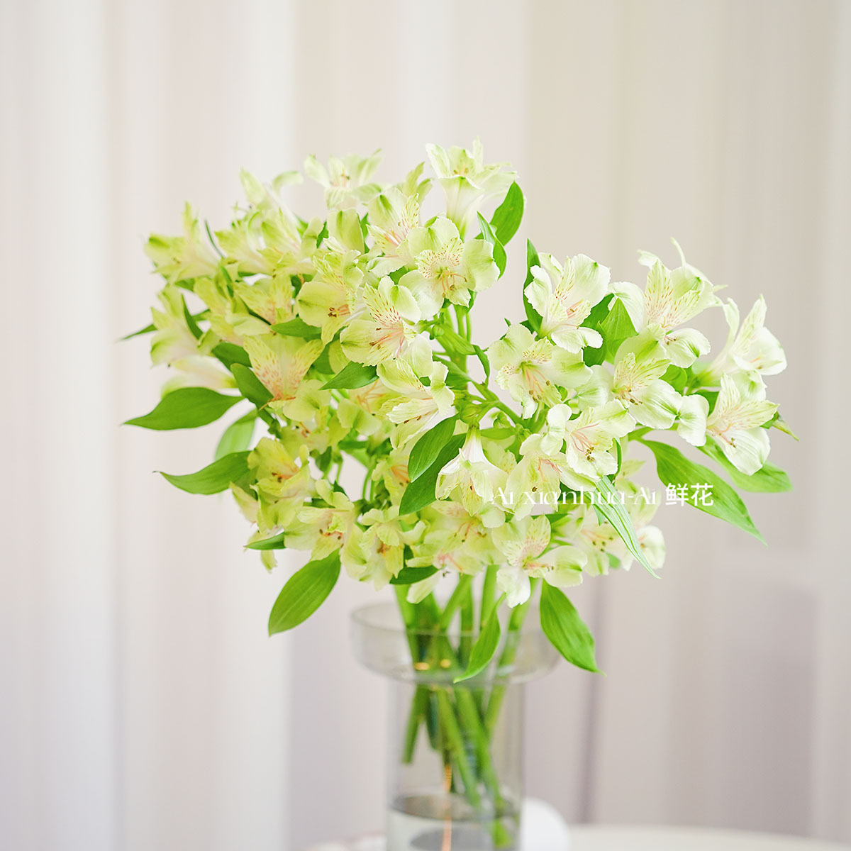 绿色水仙百合鲜花六出花家居办公