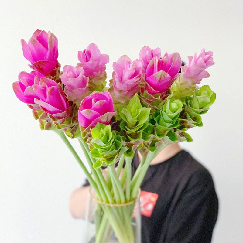 夏季花期长云南直发鲜花