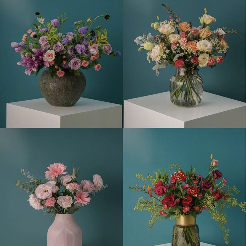 订阅鲜花混搭小花束节日插花水养