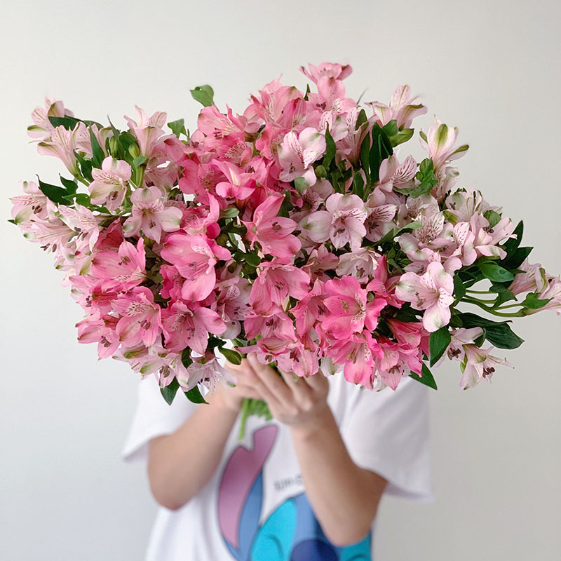 出口水仙百合温柔优雅养易开鲜花