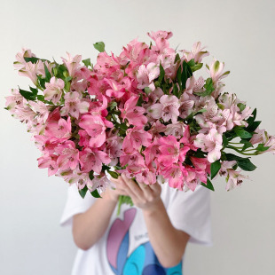 出口粉色水仙百合六出花鲜花温柔优雅好养易开云南昆明顺丰空运